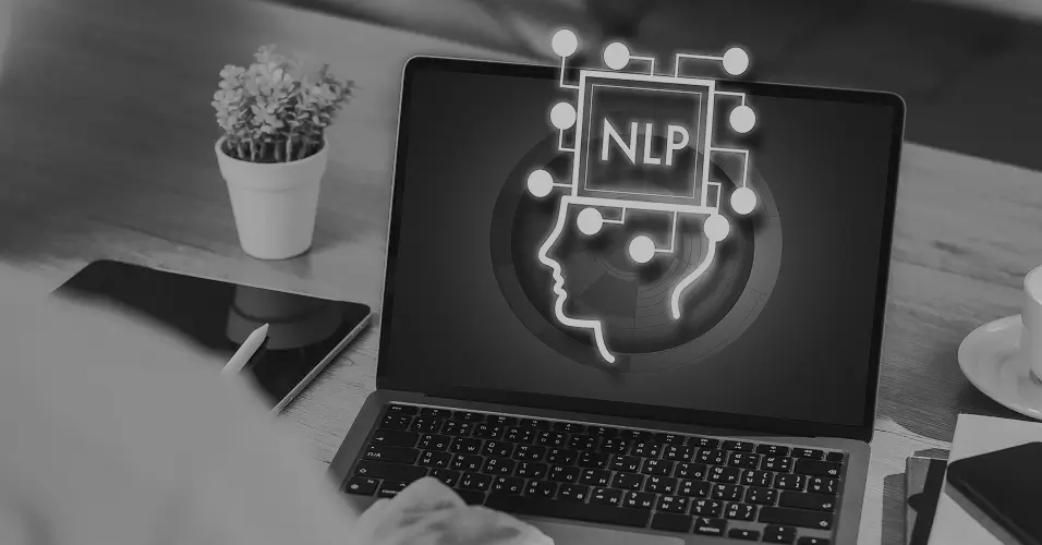 Natural Language Processing (NLP)