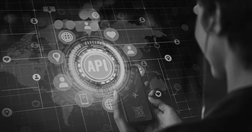 API and System Integration service
