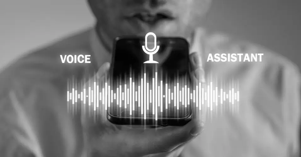 Pendoah - AI Voice Agents Service Provider
